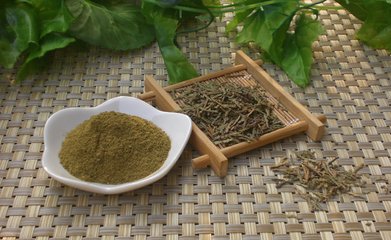 侧柏叶的功效与作用侧柏叶酒的酿酒配方