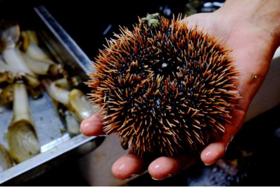 三亚市最美的景色拍摄,拍摄美丽三亚