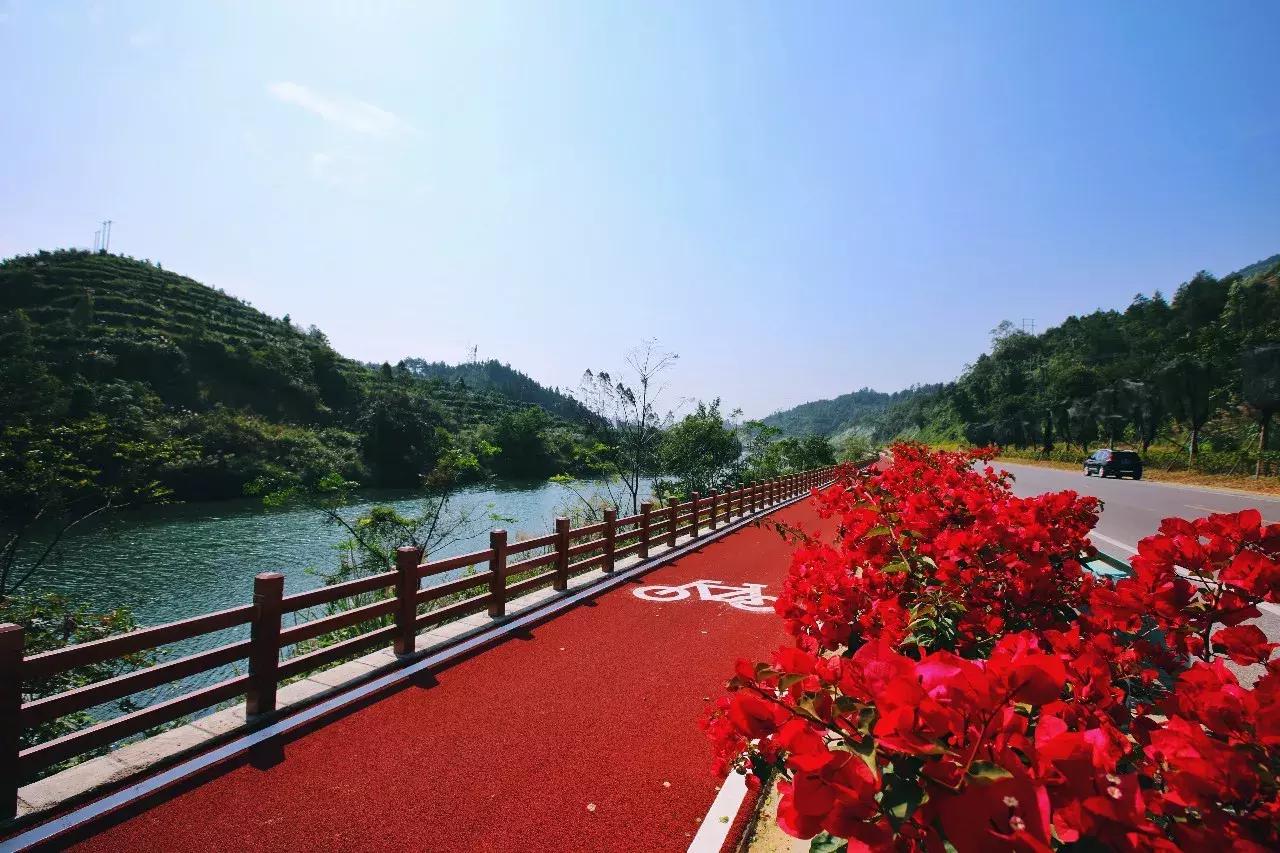 获得中国优秀旅游城市名单,首批中国候鸟小镇江西省