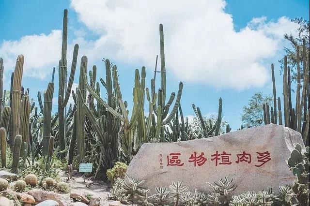 厦门旅游自由行攻略,厦门自由行旅游攻略