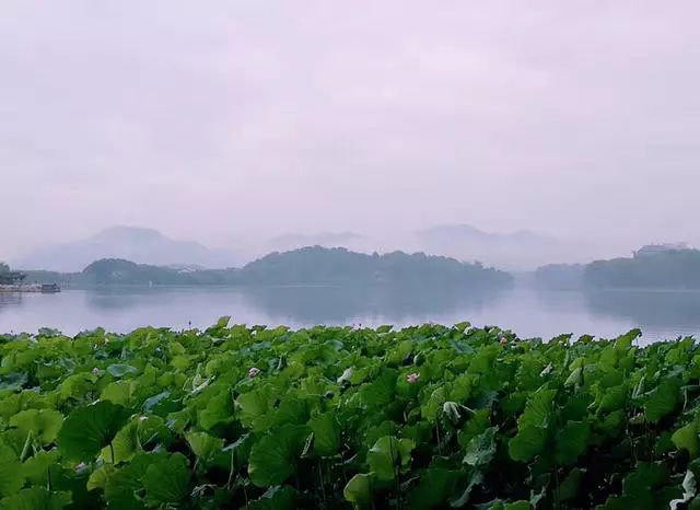 滴滴女司机开民宿,滴滴转民宿