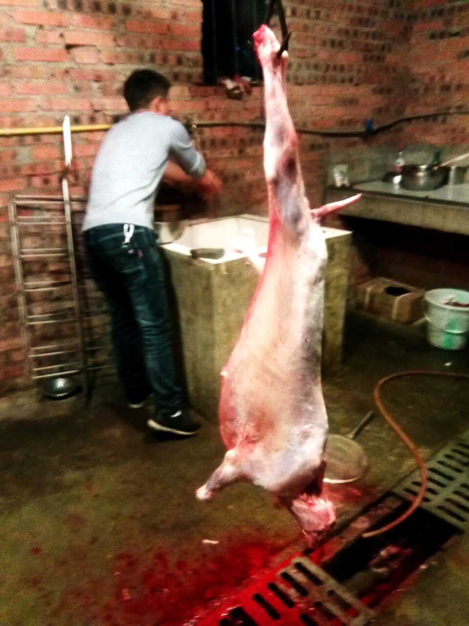 晚上吃烤全羊真实视频,这才是烤全羊的正确打开方式