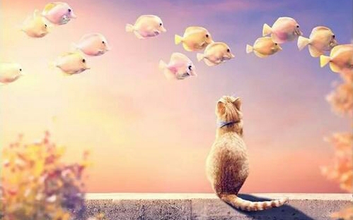 因为你不喜欢我所以你不明白,因为你不喜欢我