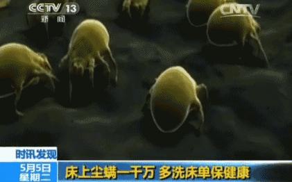 除螨仪什么牌子真的有用,除螨仪到底是什么样的好