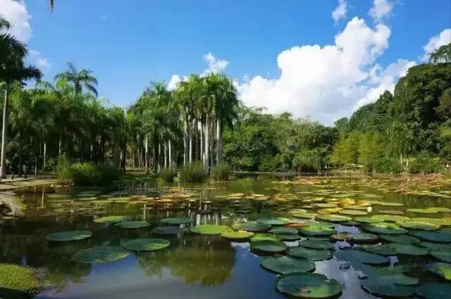 多彩的西双版纳,多彩云南版纳