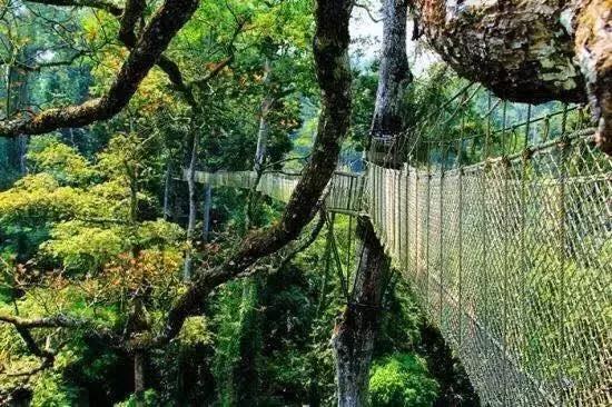 多彩的西双版纳,多彩云南版纳