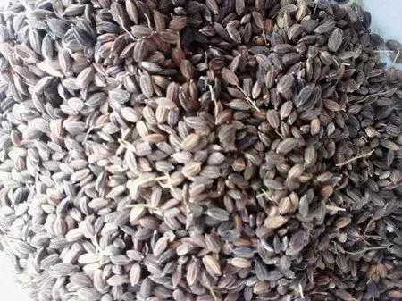 最新农产品供求信息,大农圈最新文章