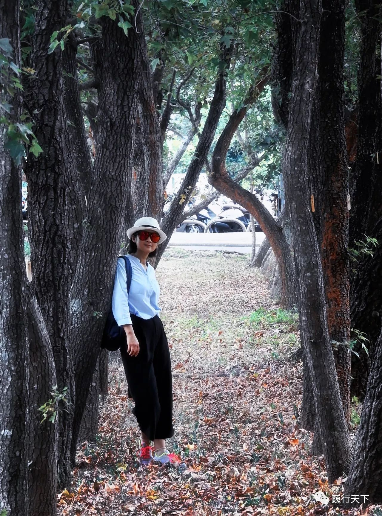 这所大学很特别,来的人都会找到逝去的校园爱情故事