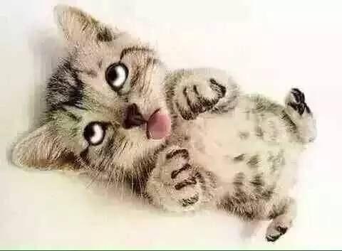 谁能帮我解除一个神父多年前给我的诅咒？媳妇说：我能！