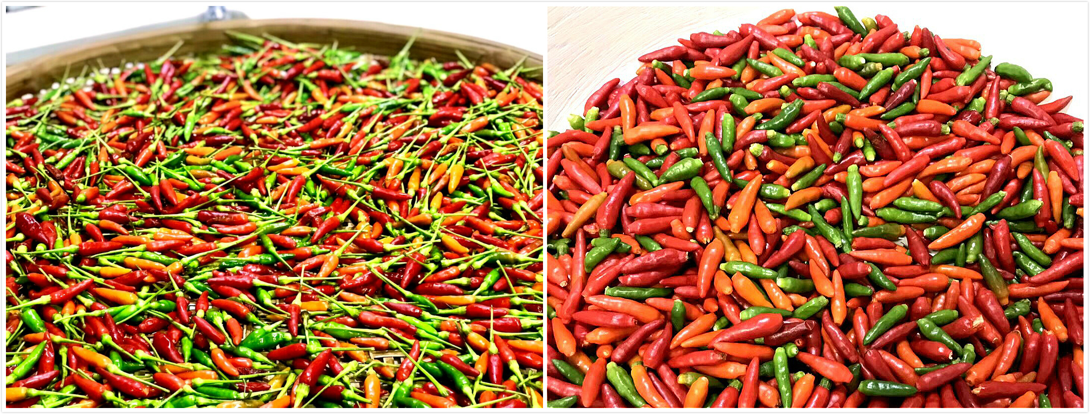 美女辣妈下班回家，实力教“剁辣椒”