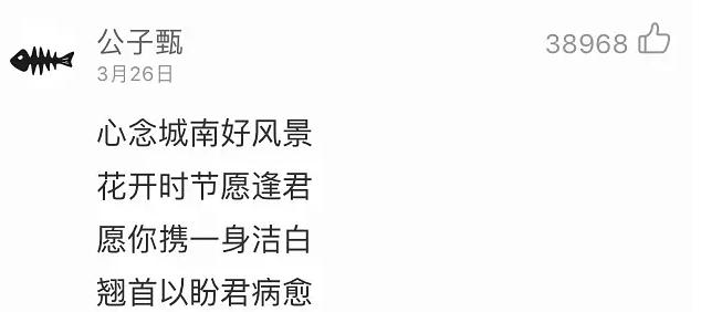 网易云十大感人催泪热评,网易云城南花已开的故事