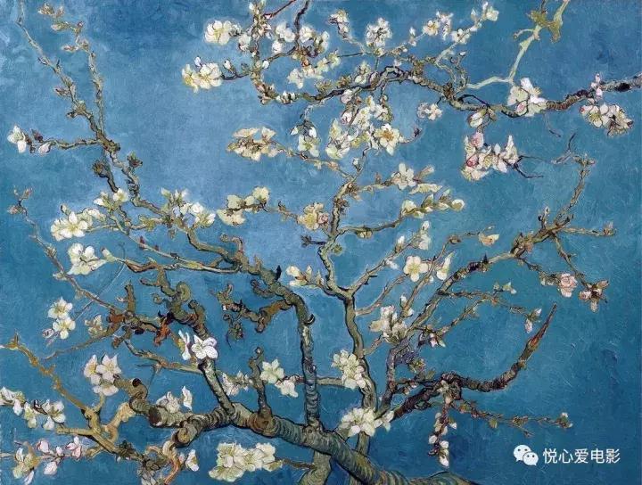 至爱梵高20部作品,至爱梵高讲了些什么