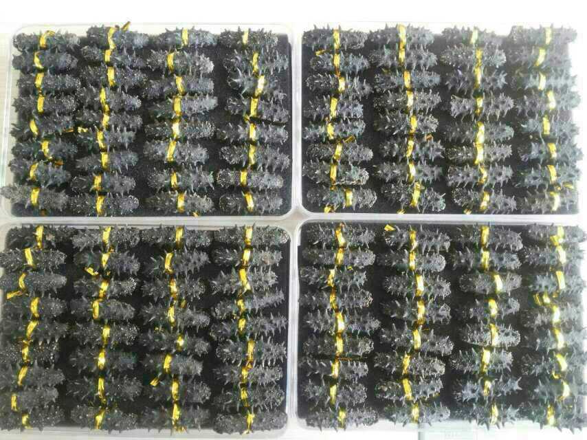 假淡干海参掺了什么,造假海参