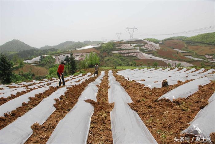 土地征收按测量面积还是确权面积,土地确权测量错地方怎么办
