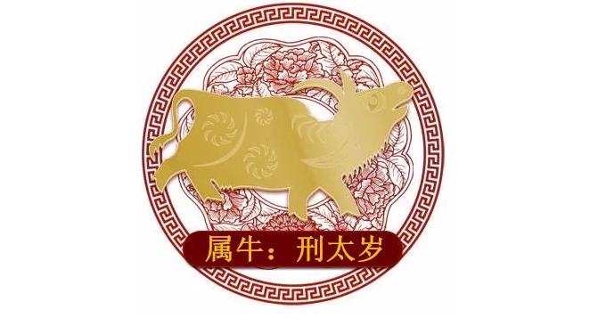 十二生肖运势及吉凶详解,十二生肖命运吉凶祸福断法