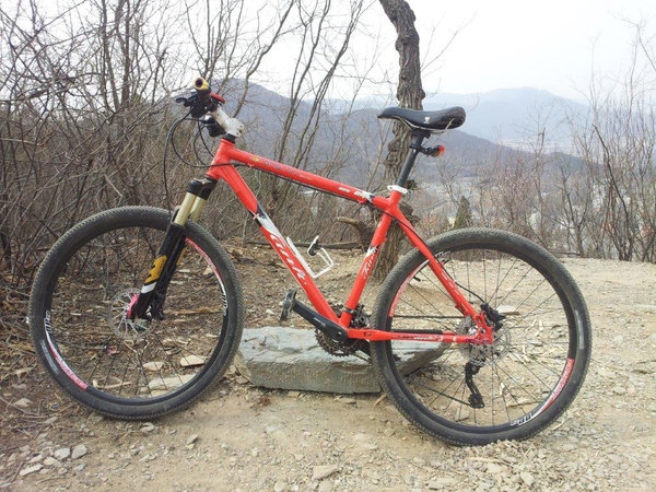 骑单车减脂减肥的正确时间,骑单车减脂效果怎样