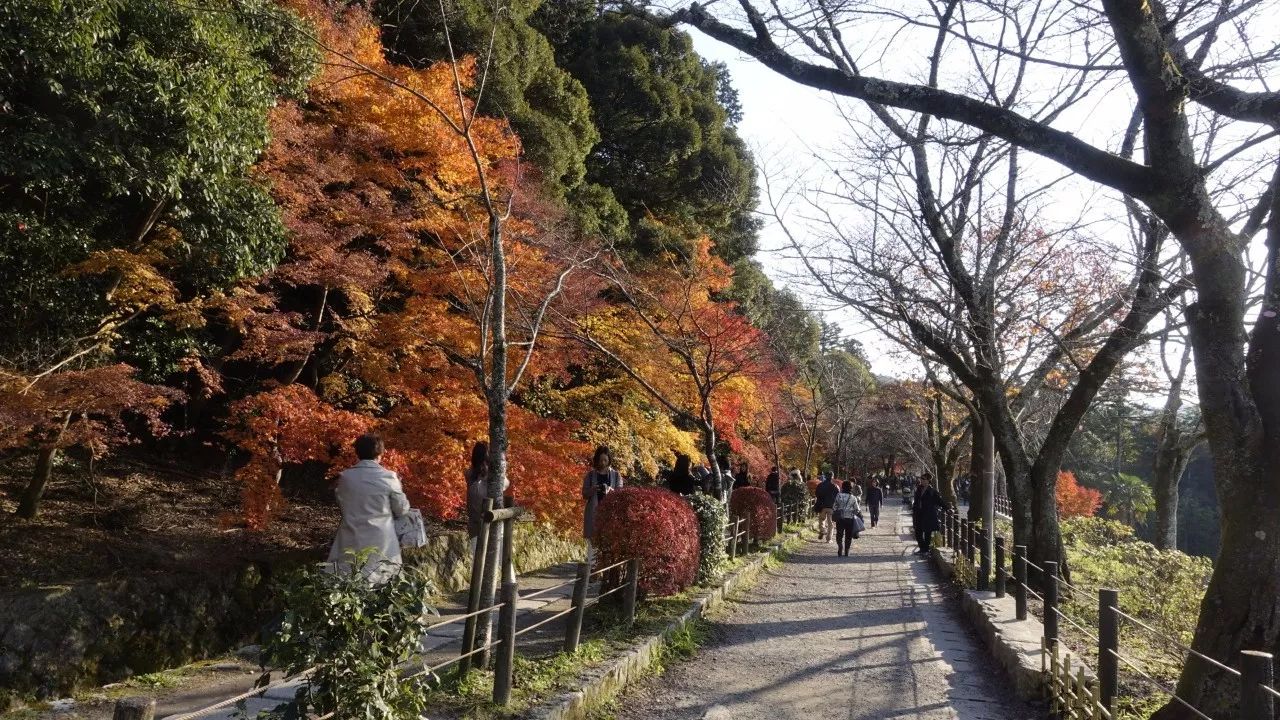 关西旅游攻略,日本关西自由行全程攻略
