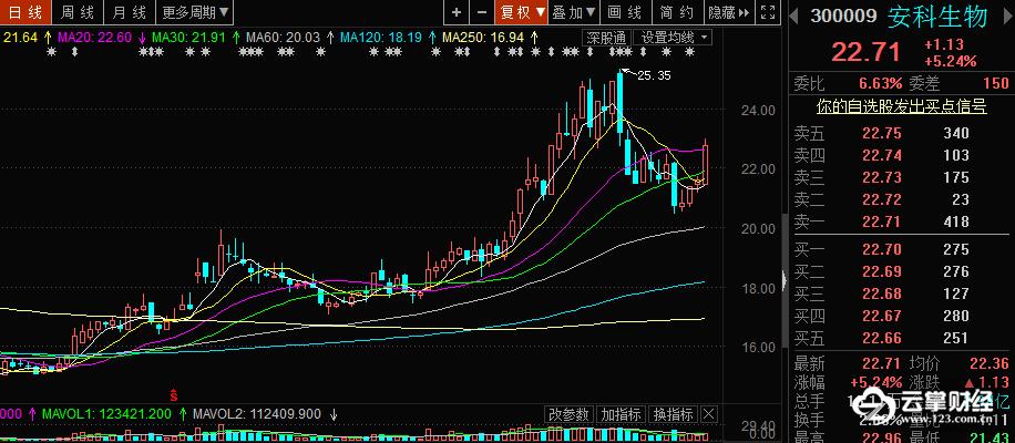 半导体龙头股603936,半导体板块人气龙头