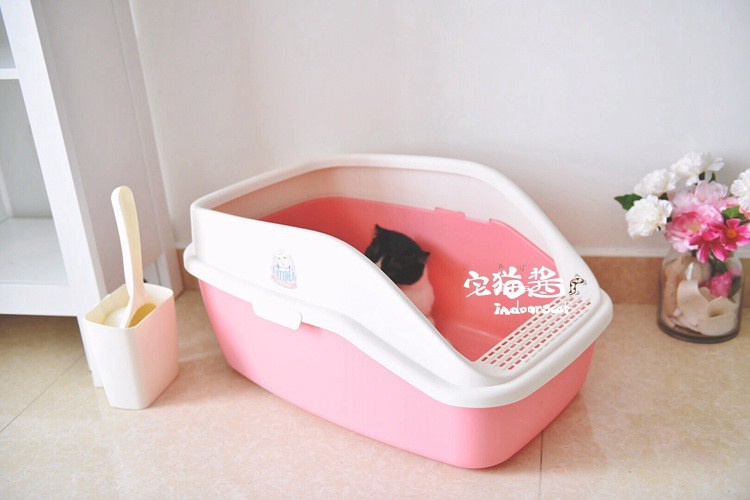 猫零食推荐豆瓣,猫咪零食推荐特价