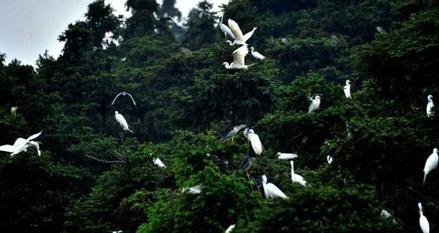 去南昌可以买什么,去南昌买啥带回去