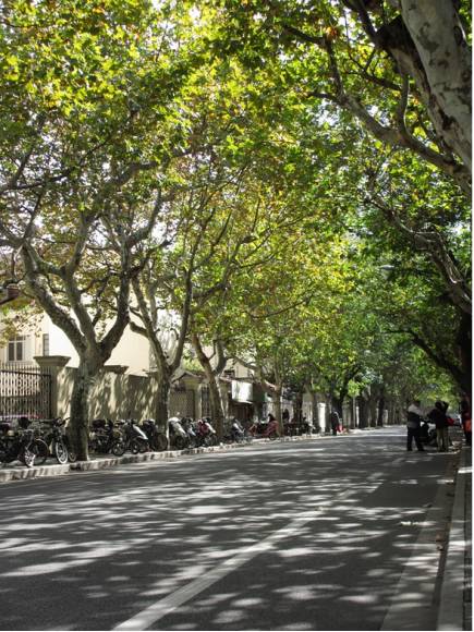 上海吃货网红打卡地排行,上海吃的特色小吃网红打卡