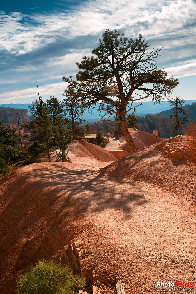 腾龙超长焦变焦镜头50-400mm,腾龙sp24-70mmf2.8