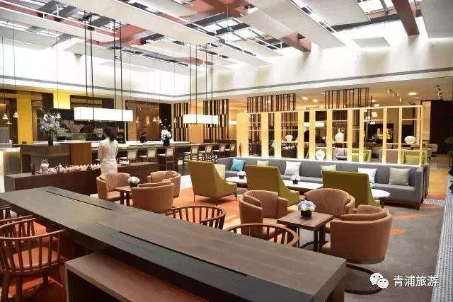 17号线嘉松中路站离奥特莱斯近吗,上海9号线和17号线嘉松中路