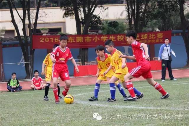 东莞市小学生足球比赛直播,2019东莞小学生篮球争霸赛