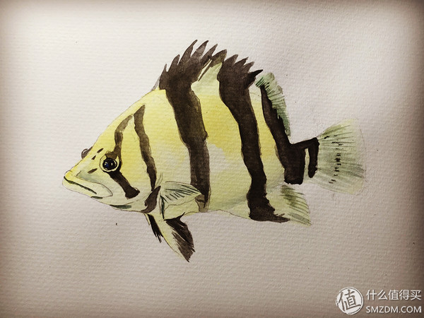 十年后又拿起画笔,十年后重新拿起画笔