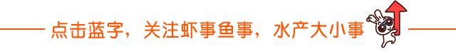 池塘会渗水漏水？老司机教你这么做，效果挺好的！