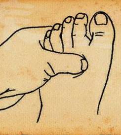 每日一膳｜“走马灯”都冻住了？快来学学这些妙招，通经络的寒瘀！广东省中医院杨志敏教授今日推荐祛风湿、止头痛、散表寒汤膳