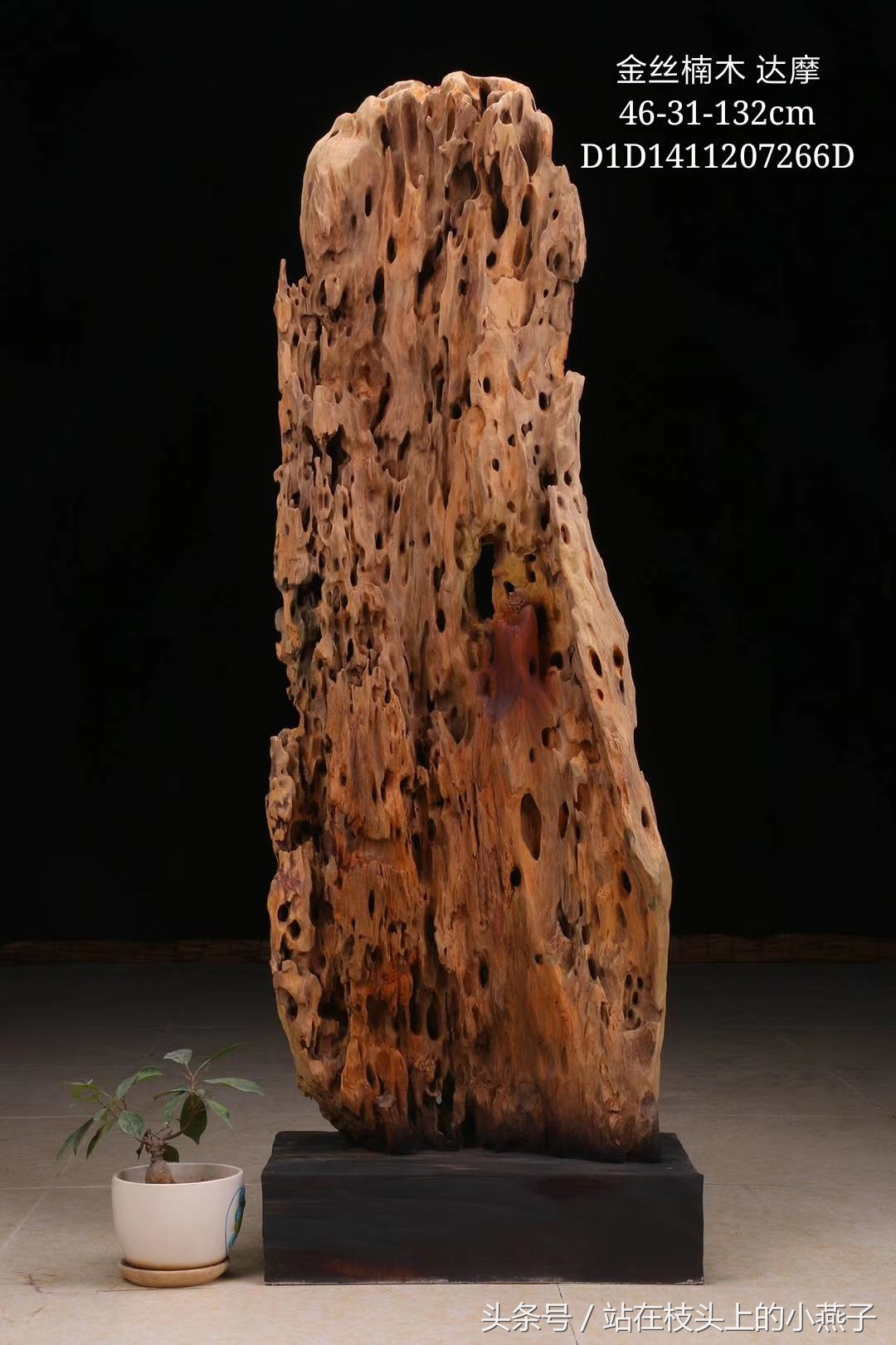 达摩面壁九年一朝得道,达摩面壁九年醒来第一句说了什么