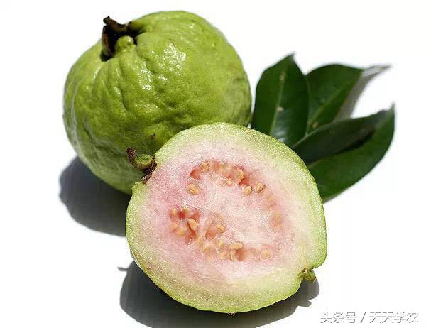 世界出名的十种稀奇水果,世界十大奇异生物你见过几种