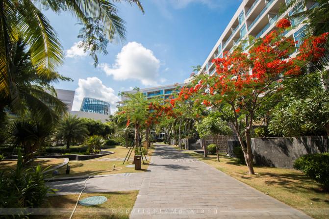 和父母的三亚之旅,带着爸妈去海岛旅游