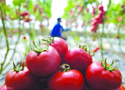 神奇的维度,神奇的维度是什么