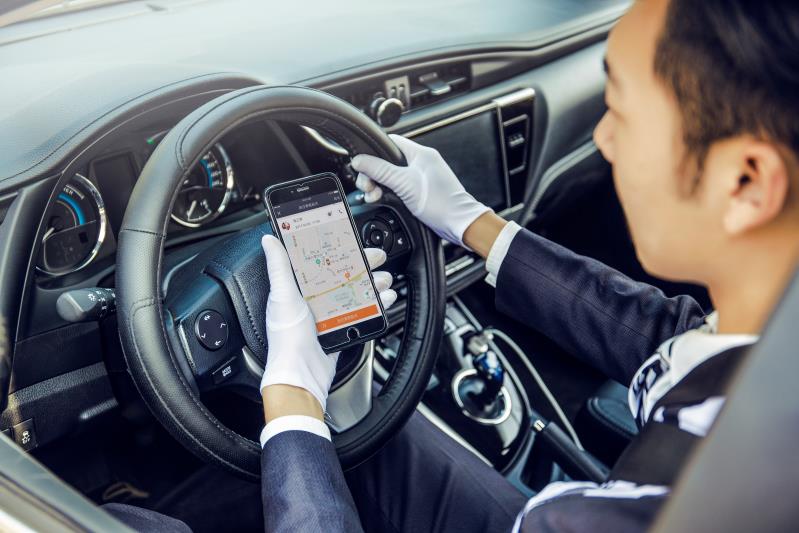 斑马闯入城镇,斑马跑起来