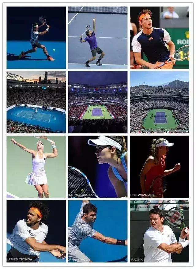 劳力士冠军联赛,劳力士赞助过的体育