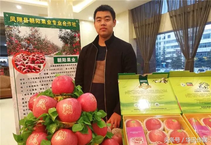 陕西凤翔苹果品种,陕西凤翔特产苹果