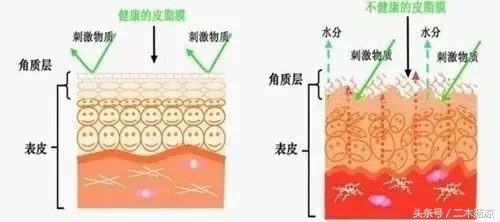 冬天皮肤干燥就补水？看看这位90后老阿姨如何给皮肤加“油”