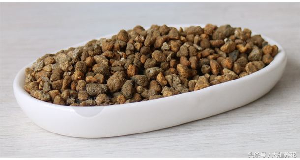 为何总种不好多肉?深扒多肉颗粒土那点事儿