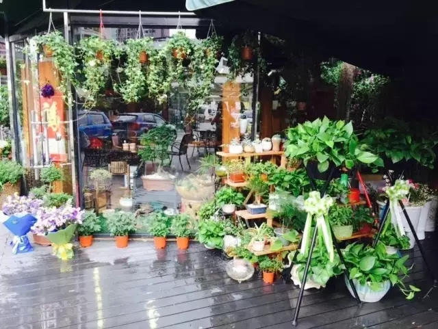 在贵州做个花房姑娘,打发慵懒时光!