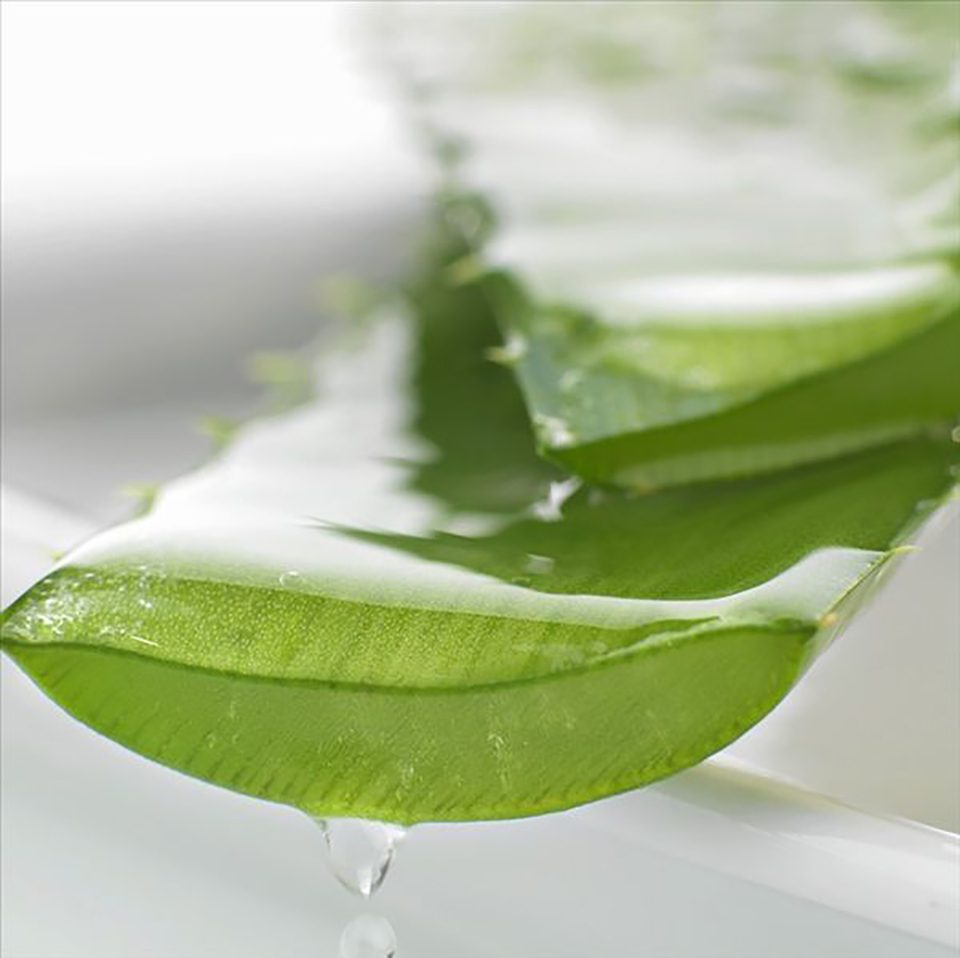 自然共和国芦荟胶怎么样？中国人“人气之王”火爆原因！