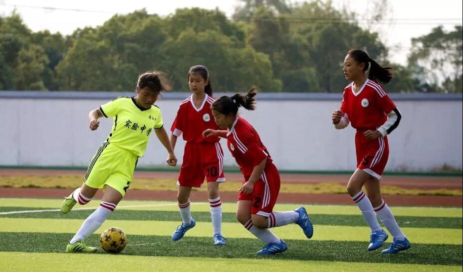 丹江口市2019年足球联赛,丹江口市中小学足球联赛