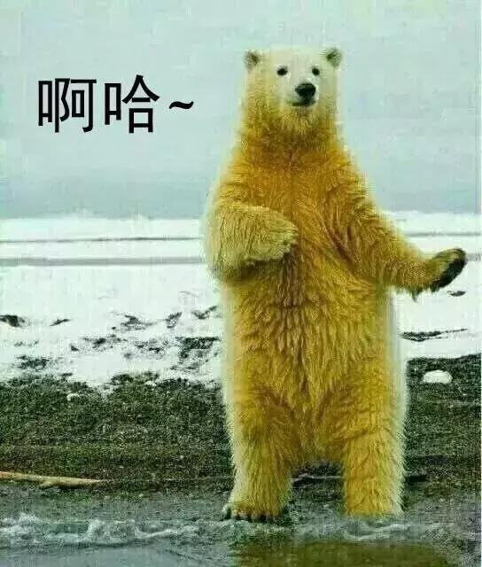 户外婚礼新郎创意出场方式,创意婚礼新郎出场方式有哪些