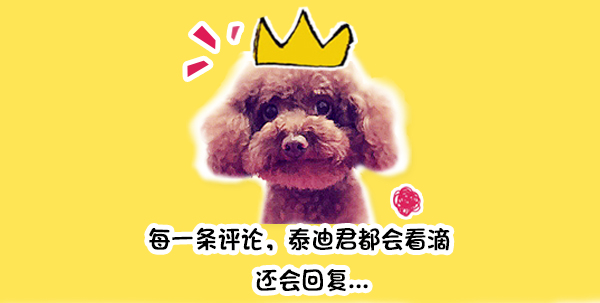 萌狗笑声配音搞笑,萌狗打喷嚏