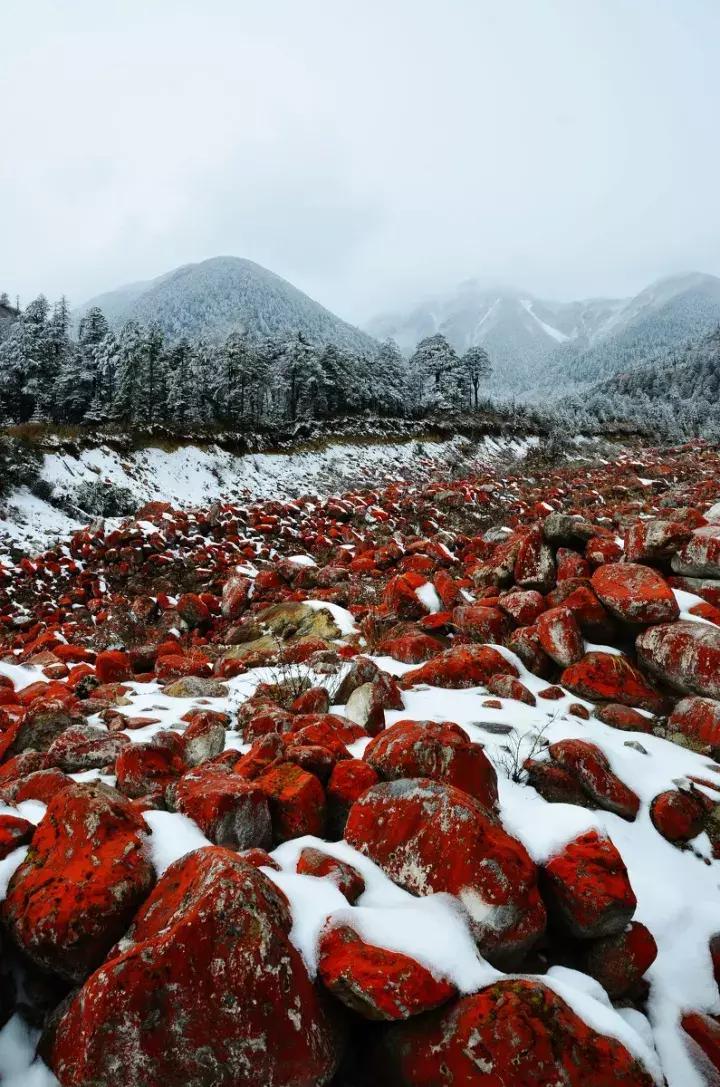 一下雪峨眉山就成了仙境,一下雪川西便美成了天堂
