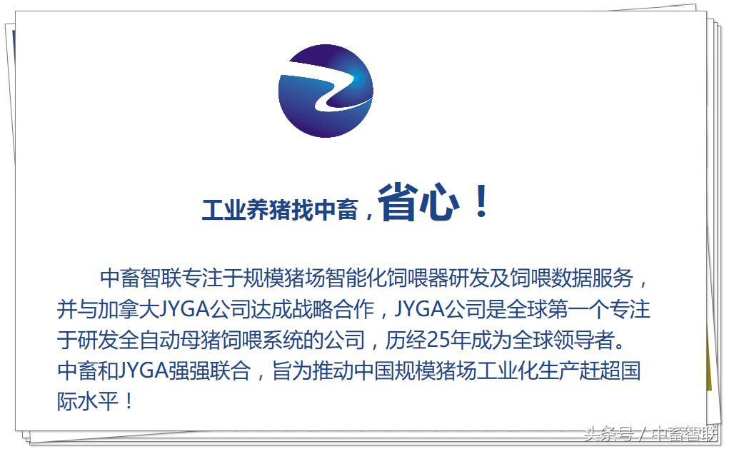 猪大肠杆菌病的治疗措施,猪大肠杆菌的症状和治疗方法论文