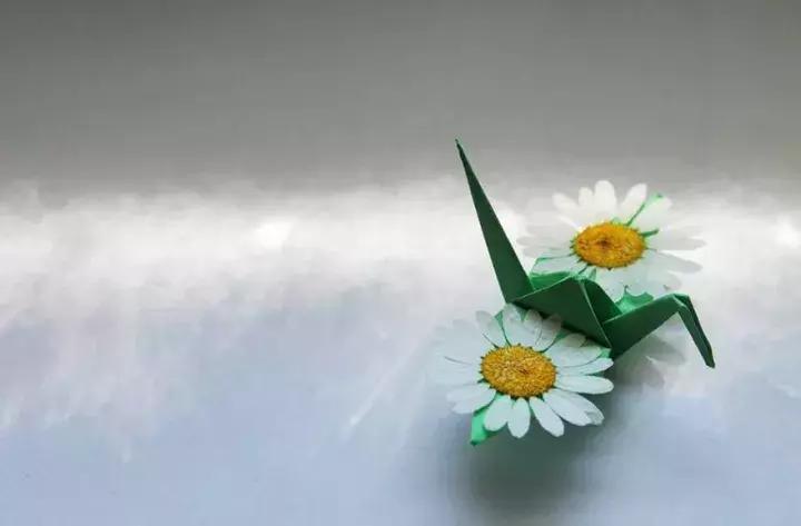 他用3个月时间，折叠了1000只千纸鹤，送给了他最亲爱的姑娘