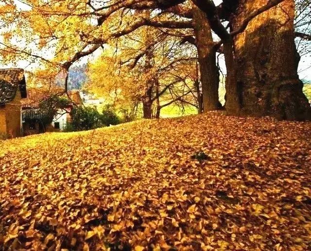 连州雪景旅游区,粤北连州风景