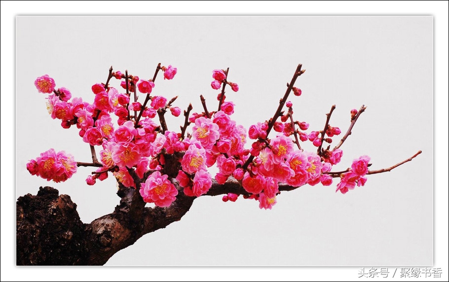 长相思古诗词经典唯美名句,唯美古诗词长相思